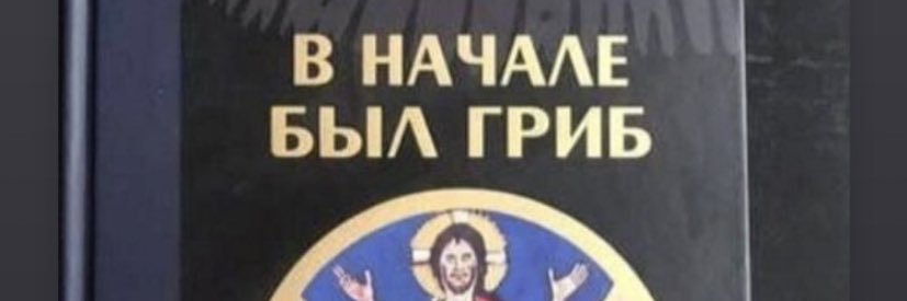 анастейша banner