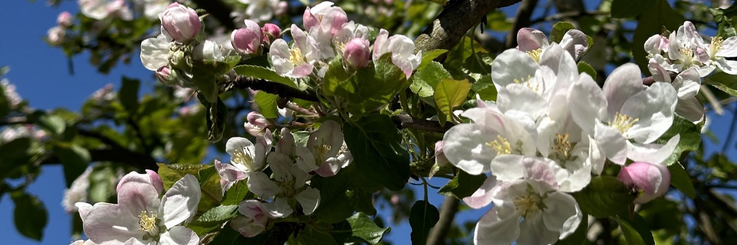 Пан Макакіч🐵🇺🇦🇪🇺 banner