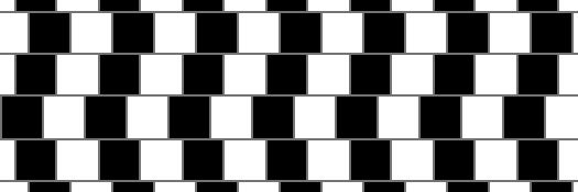 Raina Penchansky banner