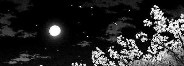 bloomluuna43's profile banner image