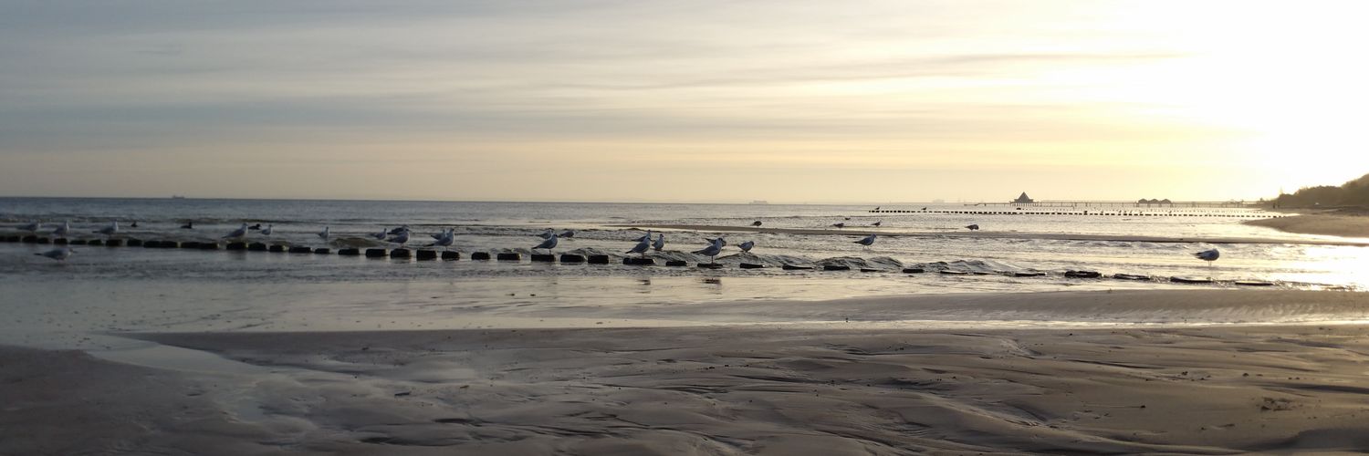 Portweindame's profile banner image