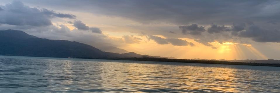 Mario Portillo banner