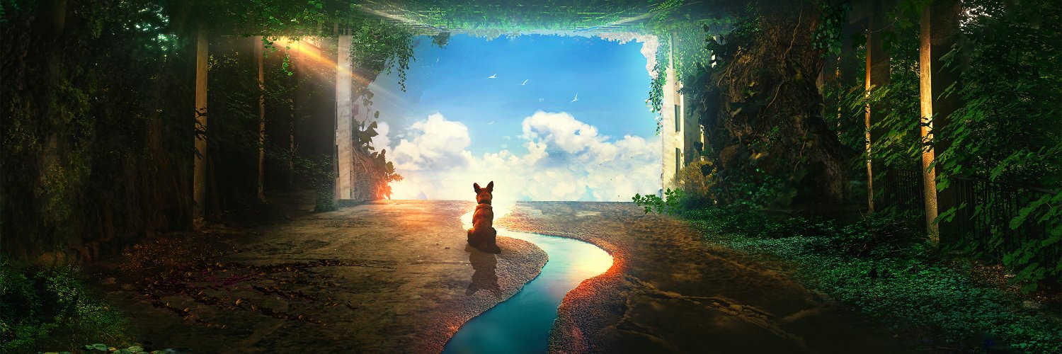 Quadelpro's profile banner image