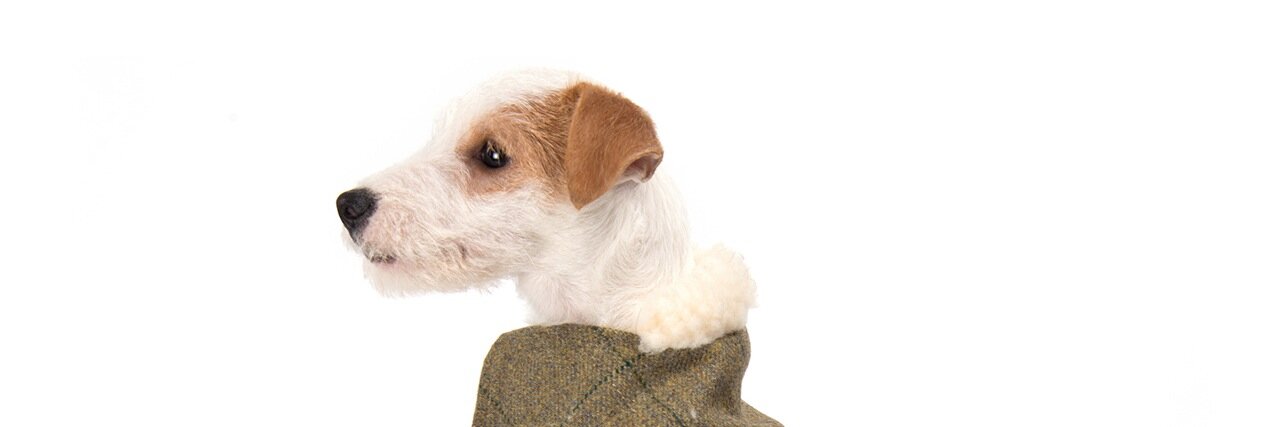 Kbridgepets's profile banner image