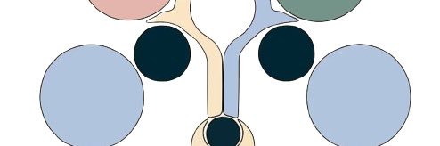 DIDIMX's banner