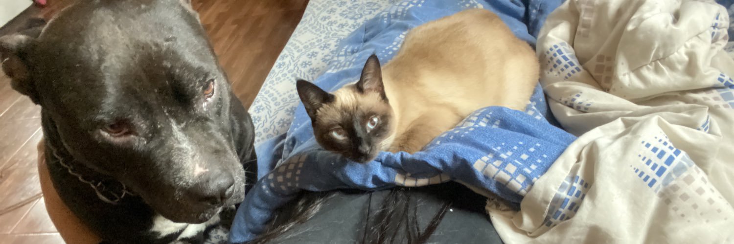 NadiaOtz's profile banner image