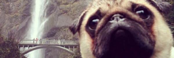 ashleyyy26's profile banner image