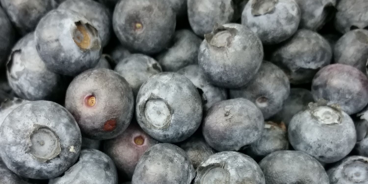 Cousins Market banner