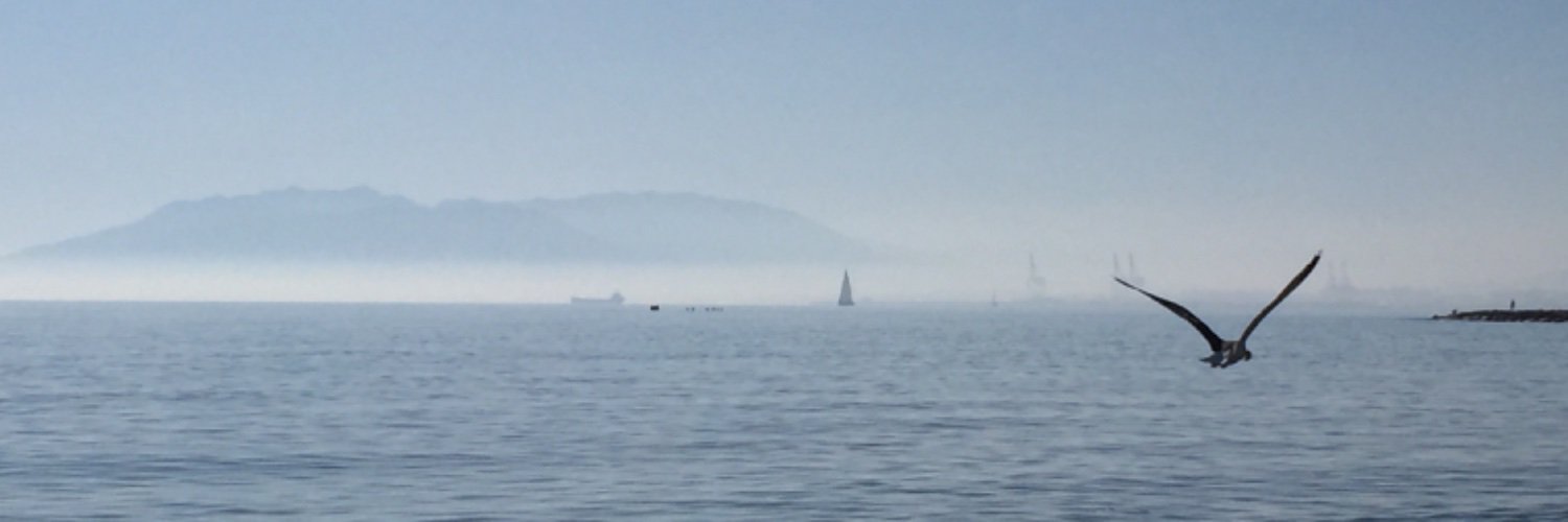 Katy Peichert banner