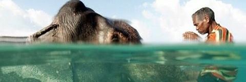 _valerysanz's profile banner image