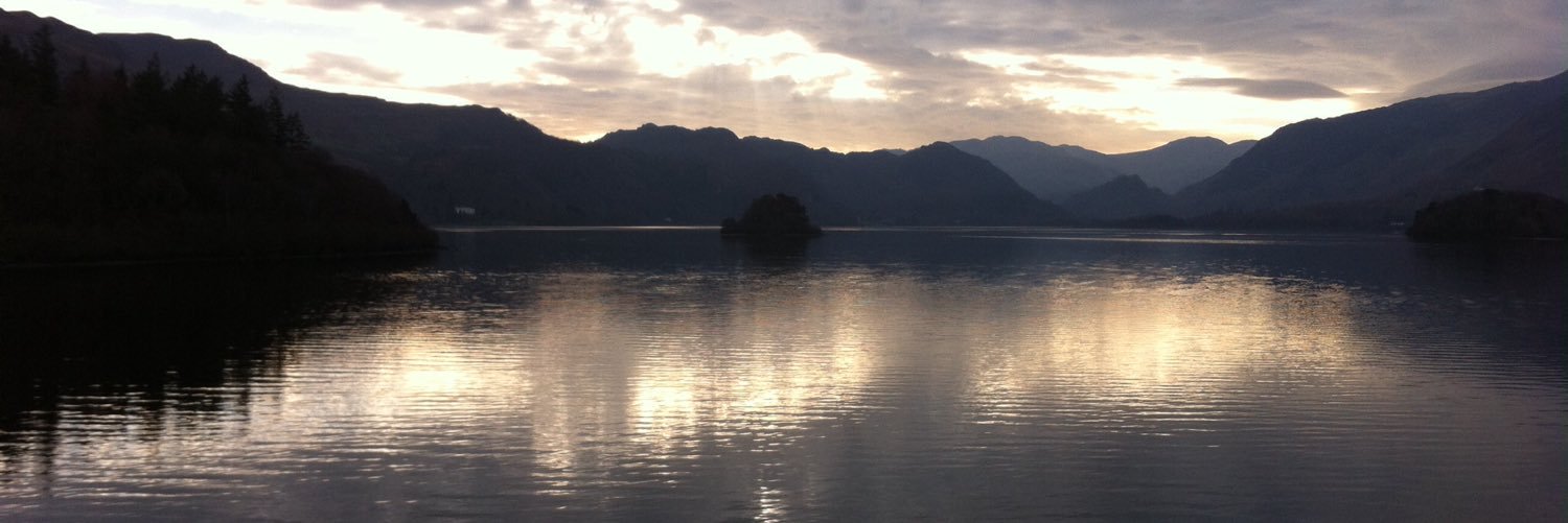 Steve Johnson banner