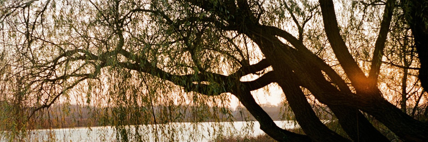 MartinRun99's profile banner image