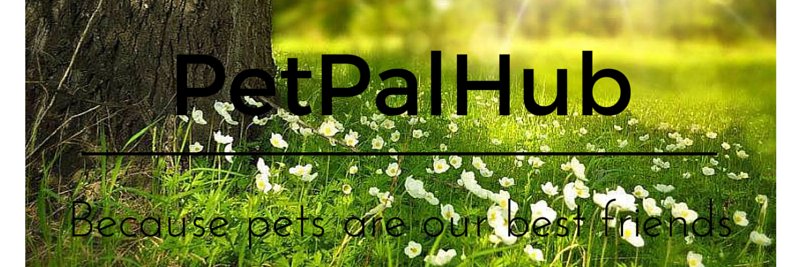 PetPalHub's profile banner image