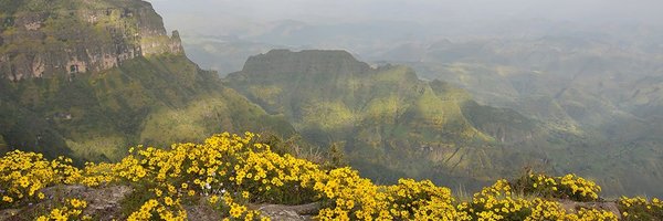 bshiferawp Profile Banner