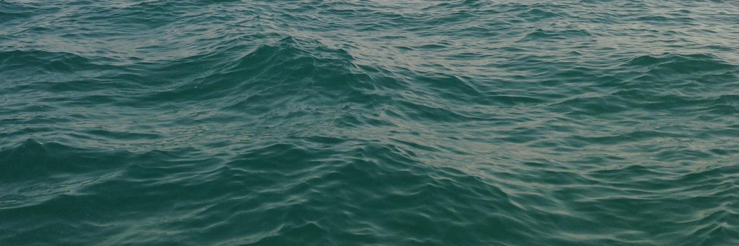 Dr. Asmaa Alduhaim banner