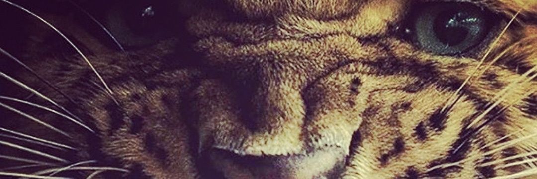 matatan_25's profile banner image