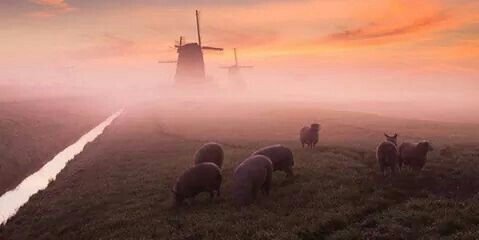 MetkelE's profile banner image