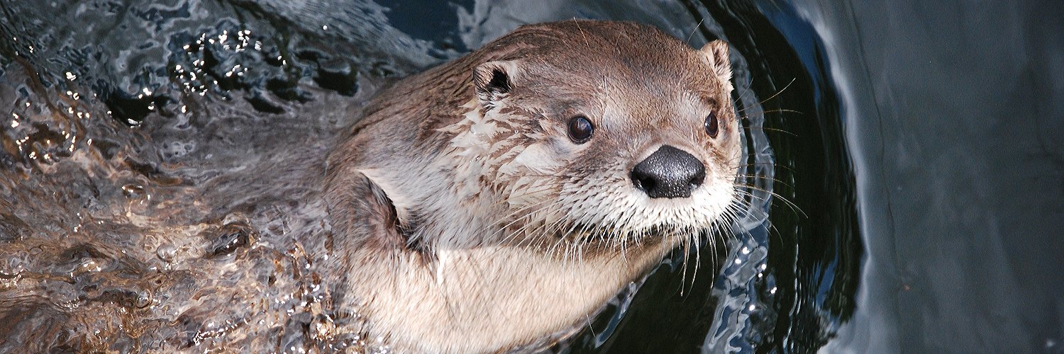 Virginia Living Museum banner