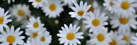 floorfiare's profile banner image