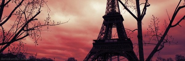 RaquelCastroAd's profile banner image