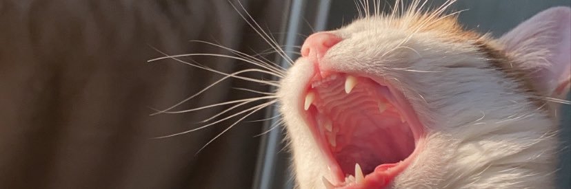BradMilk_'s profile banner image