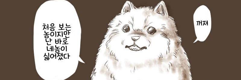 saylhm's profile banner image
