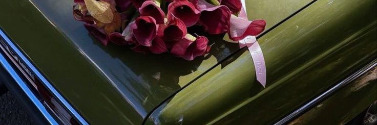 hooni banner
