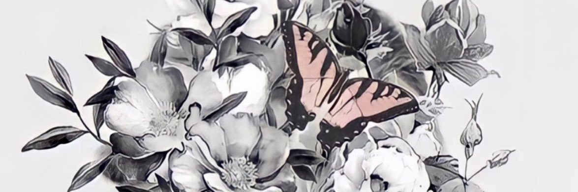 w__warda's profile banner image