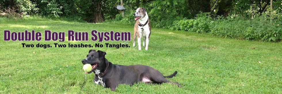 2DogsNoTangles's profile banner image