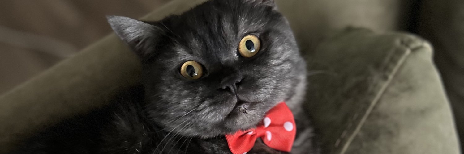 witabella's profile banner image