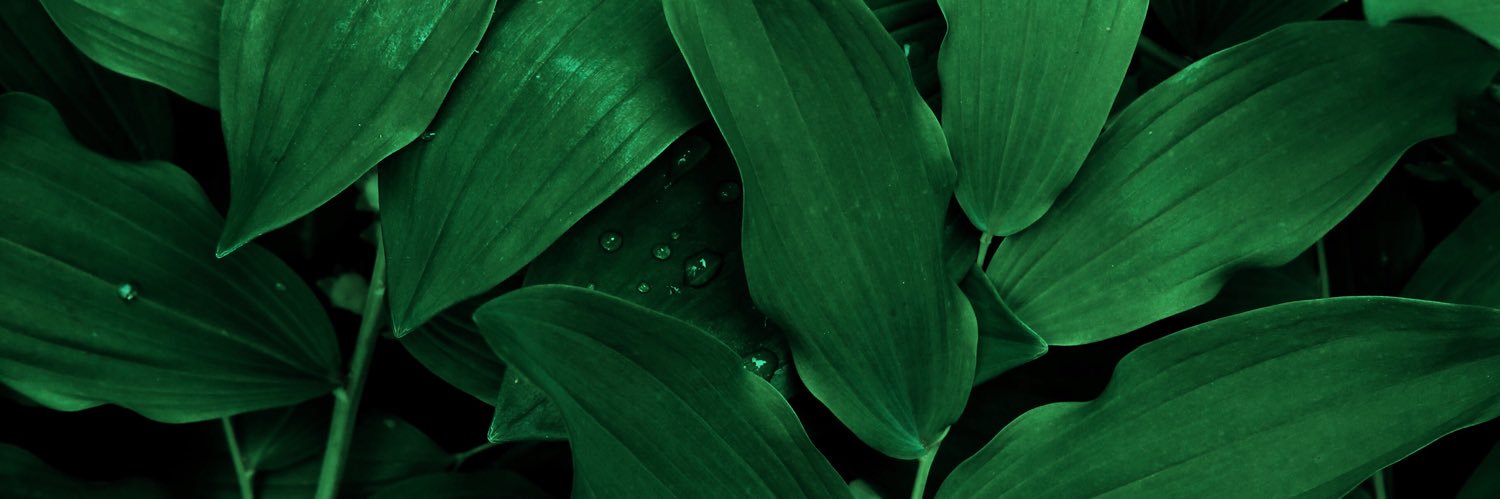 bukozdmr's profile banner image
