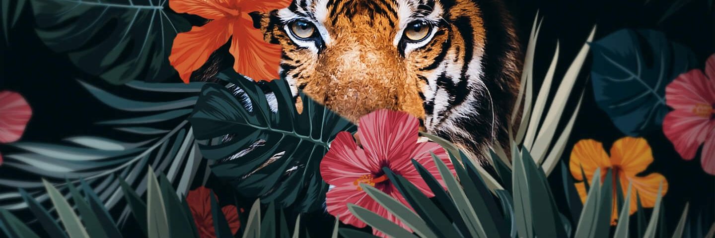 harrypandey's profile banner image