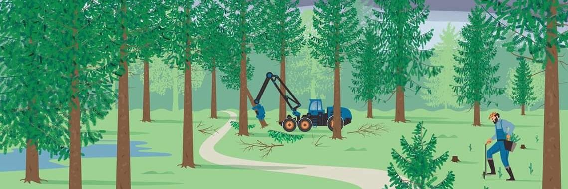 Norges Skogeierforbund banner