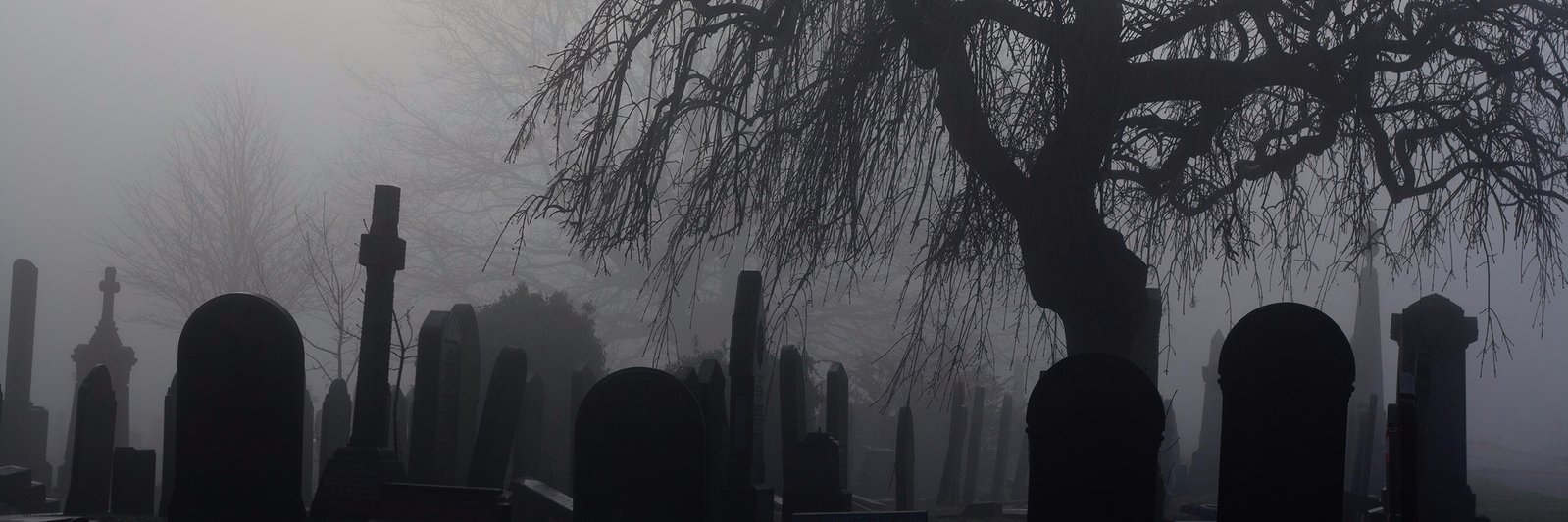 CustomHaunts's profile banner image