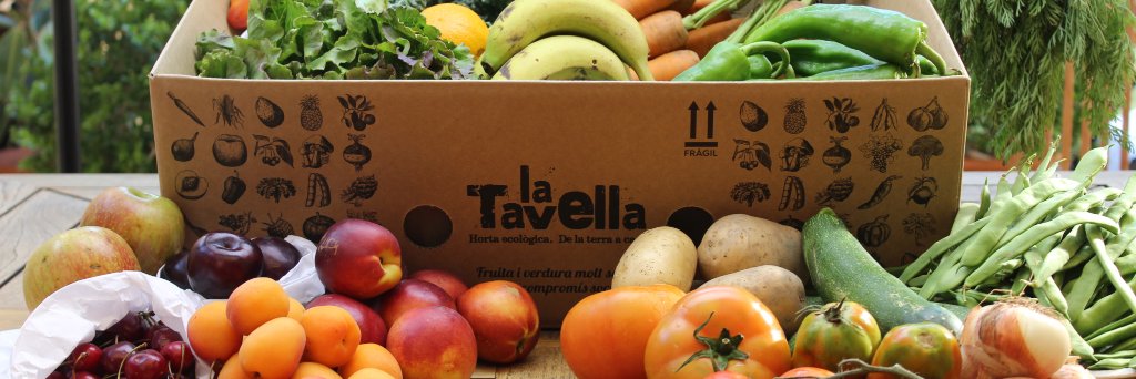 latavella's profile banner image