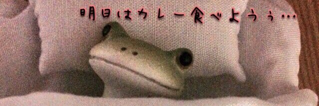 kaeru_bot1's profile banner image