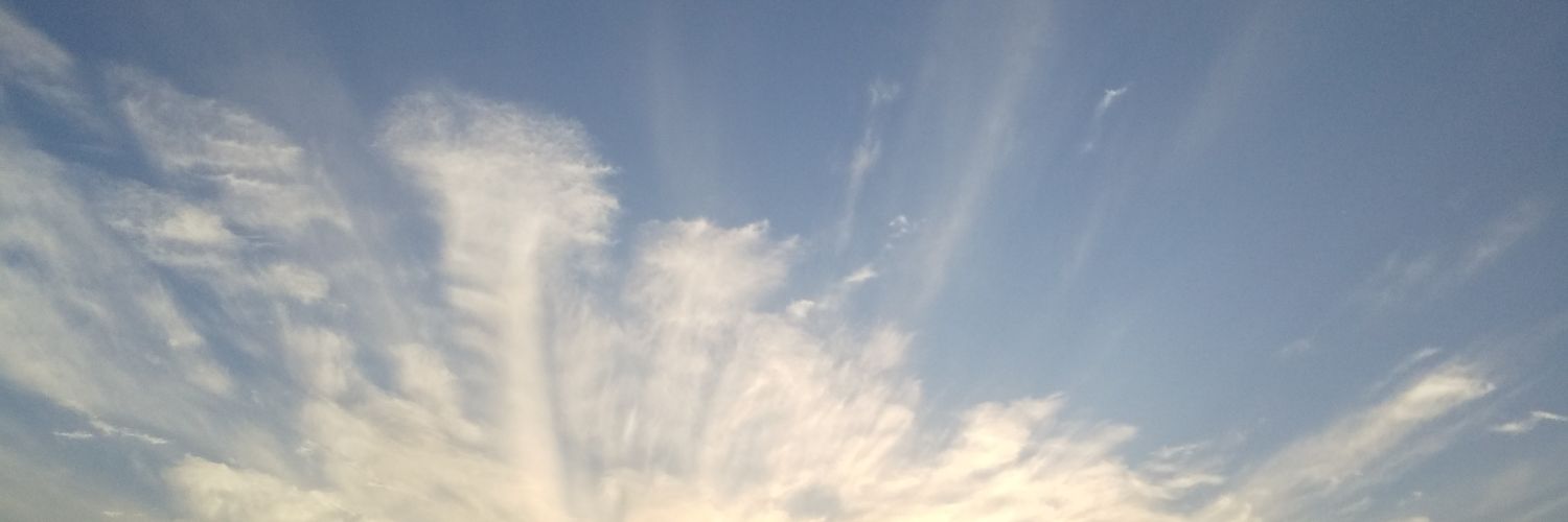 cesh_'s profile banner image