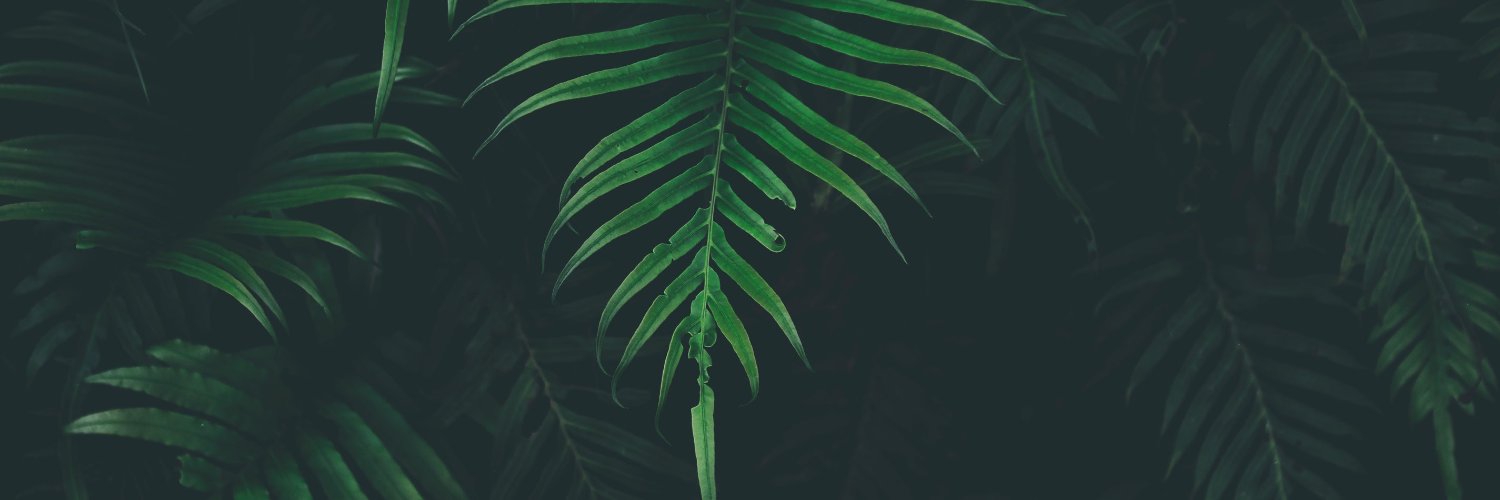 Maxime_Clavel's profile banner image