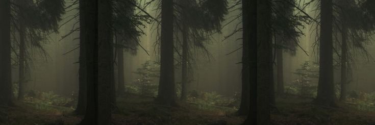 Alll9__'s profile banner image