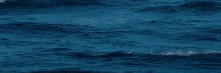 daniela03514's profile banner image