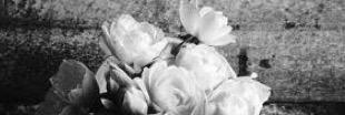 321Ftoomh's profile banner image