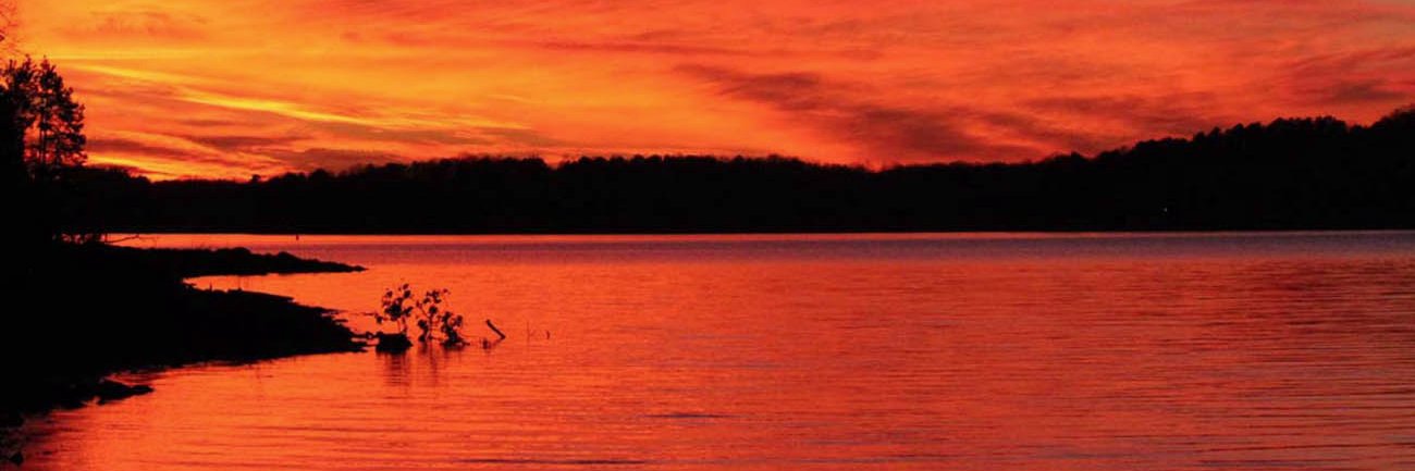 CBSHS Advising banner