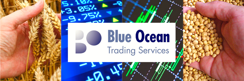 BlueOceanTS's profile banner image