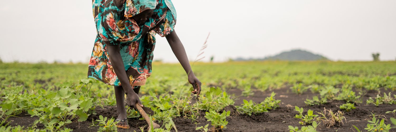 UNDP Sudan's banner