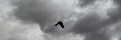 K__Tabuk's profile banner image