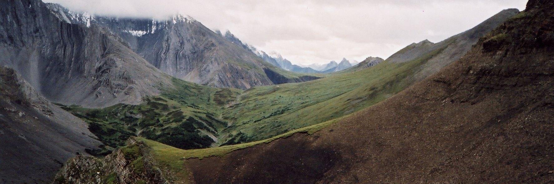 Professional Outdoor Media Association of Canada banner
