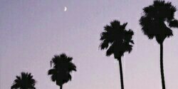itsvanessast's profile banner image