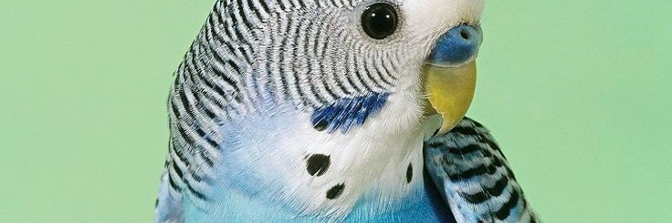 ElaineBall's profile banner image