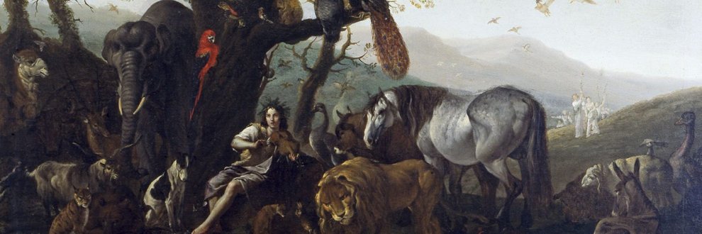 Maria Toldrà banner