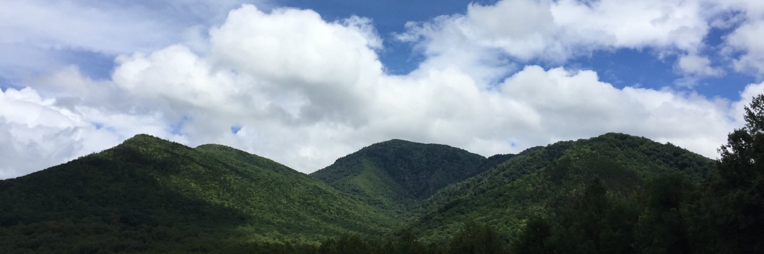 haleygabrielle's profile banner image